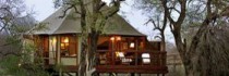 Hamiltons Tented Camp - Lodge