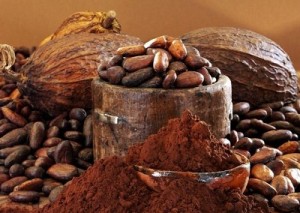 День какао и шоколада в Бразилии