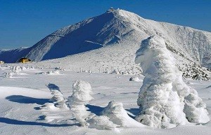 Альпинистский парк появится в Чехии в ближайшее время