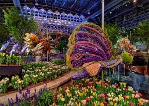 Крупнейшая в мире выставка цветов в Филадельфии