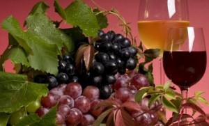 Фестиваль вина в Моравии