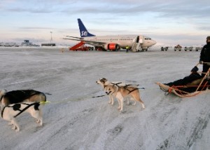 Трансфер на собачьих упряжках для туристов Норвегии