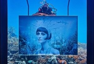 Подводные выставки картин Андреаса Франке открылись на Мальдивских островах