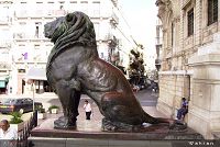   oran wahran algerie