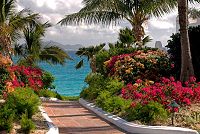   Fauna Anguilla