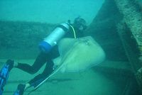   The Anguilla Scuba Diving