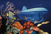   Submarine Expedition Tour