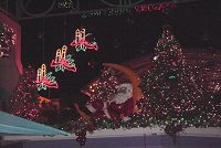    Christmas in Aruba