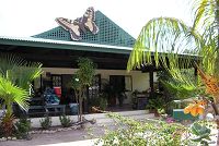     Aruba Butterfly Farm