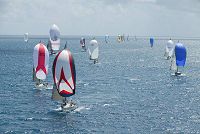   Antigua Sailing Week