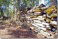    Uxbenka Mayan