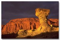 " " Parque Provincial Ischigualasto - Argentina