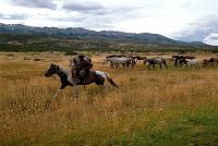    Rancho