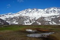   Marmolejo 