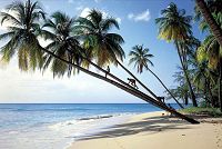 Barbados island