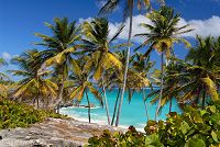   Barbados Island