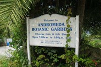   "" (Andromeda Botanical Gardens)