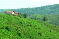   Chittagong Hill