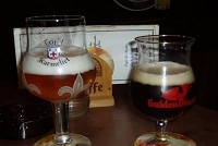    Brugge bear