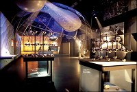     Interior view of the Diamond Museum in Antwerp