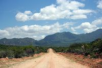    The road to Bibala