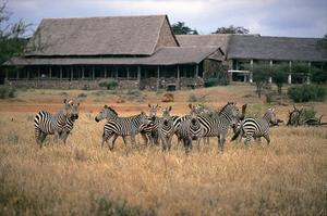 Животный мир страны относится к Южно-Африканской подобласти Эфиопской области