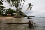 Американское Самоа - На Самоа вспоминают жертв цунами