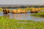 Ботсвана - Природная достопримечательность - Окаванго