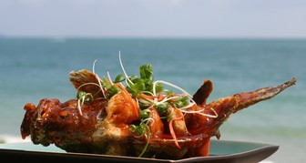 Национальная пища багамцев - блюда из морского моллюска