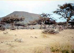 плато Матабеле