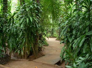 Old Village Spice Garden- 