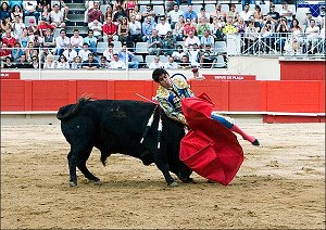 Corrida de toros