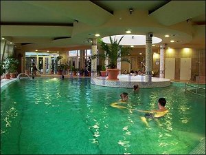 Wellness  