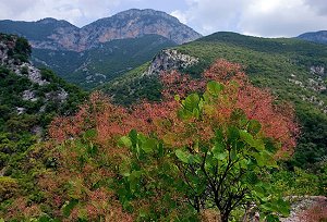 Около 80 % территории Греции занимают горы