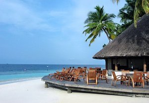 Cocoa Island -      .