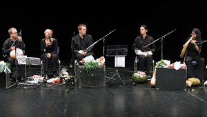 The Vegetable Orchestra