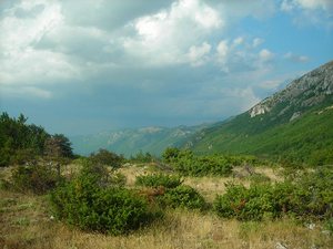 Национальный парк Галичица расположен в местечке Галичица, являющемся частью горной цепи Сары-Pind