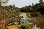Бенин - Пенджари - национальный парк Бенина