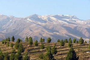 От золота осени - к серебру зимы в Туркменистане