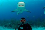 Багамские острова - Путешествие к акулам