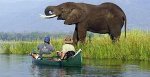 Зимбабве - Национальный парк Гонареху