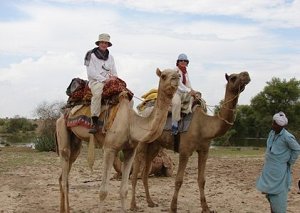 Camel Safari