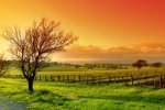 Австралия - Долина Баросса — самая известная винодельческая долина Австралии