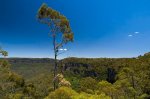 Австралия - Голубые горы или удивительная страна