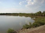 Узбекистан - Амударья - река, теряющаяся в песках