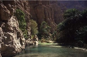  Wadi Shab