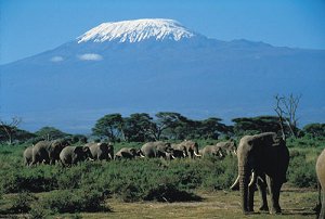  Amboseli