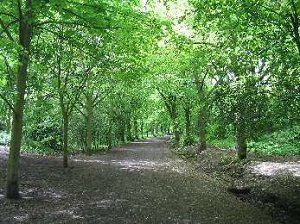 Hampstead Heath