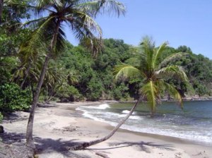   La Sagesse    -   