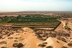 Западная Сахара - Хозяйство Западной Сахары